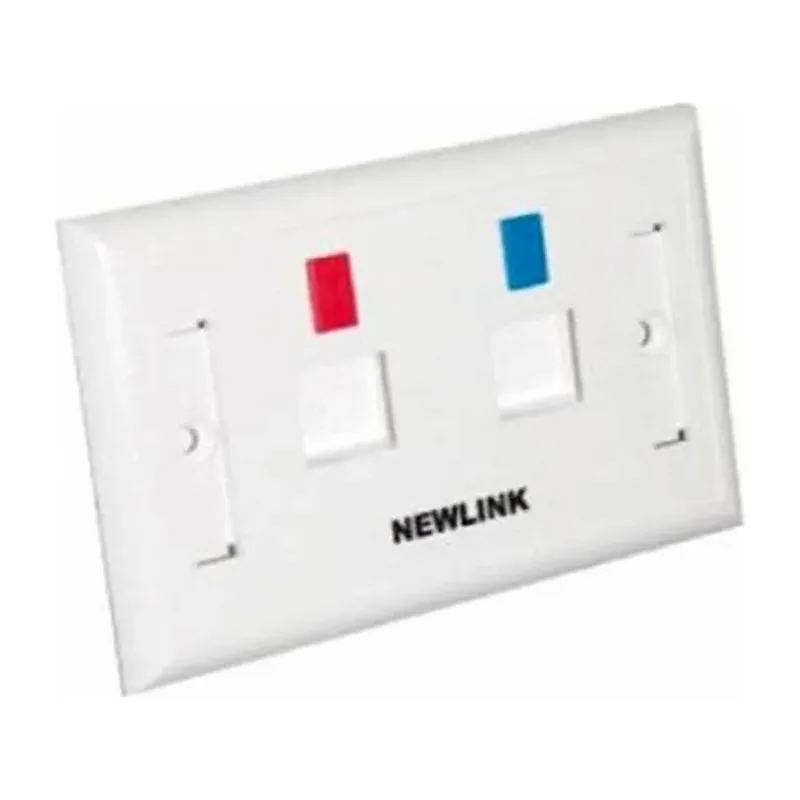 Placa de 2 servicios marfil